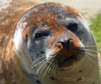 /album/zoovaria-dierentuinnieuws/dierenrijk-9-jpg/